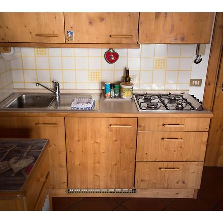 Cristallo & Faloria Suite Apartments コルティーナ・ダンペッツォ エクステリア 写真
